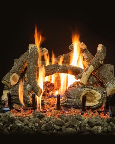 Grand Canyon Arizona Weathered Oak Charred Vented Gas Log Set with 2 Flame Burner