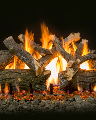 Grand Canyon Arizona Weathered Oak Charred Vented Gas Log Set with 2 Flame Burner