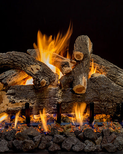 Grand Canyon Arizona Weathered Oak Outdoor Vented Gas Log Set with 2 Flame Stainless Steel Burner