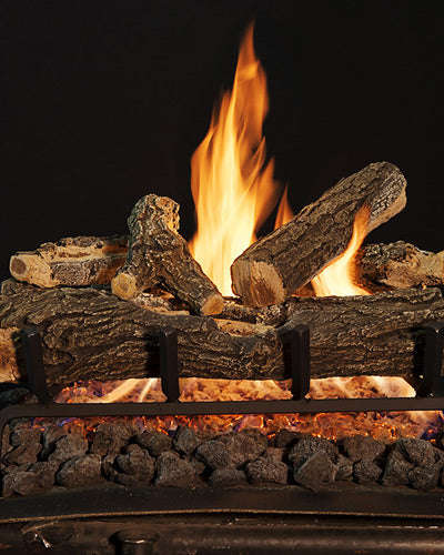 Grand Canyon Arizona Weathered Oak Outdoor Vented Gas Log Set with 2 Flame Stainless Steel Burner