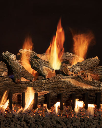 Grand Canyon Arizona Weathered Oak Outdoor Vented Gas Log Set with 2 Flame Stainless Steel Burner