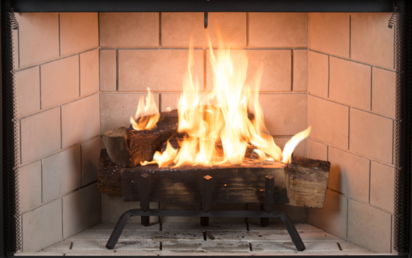 Wood Burning Fireplaces 43"